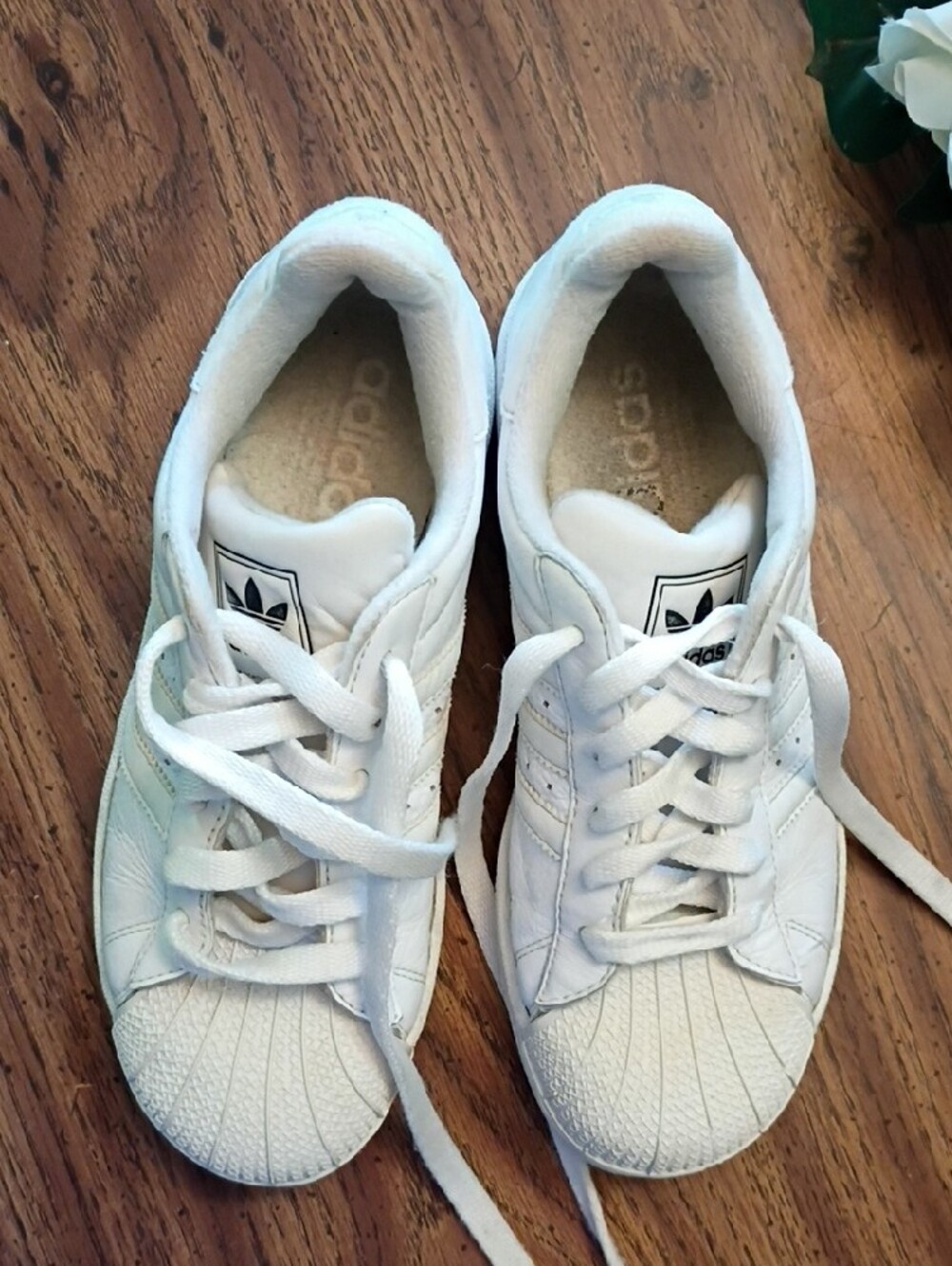 🩷Kids Adidas White Classic Shell Toe Sneakers - Picture 2 of 9
